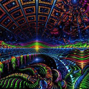 Meet your Posher, Caleb